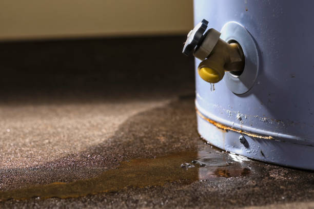 Trusted Water Damage Restoration in Difficult Run, VA | Fast, Reliable, and Ready to Assist You